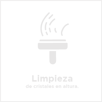 servicio 7@2x